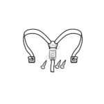 SHAD SET BUCKLES SH36 2014